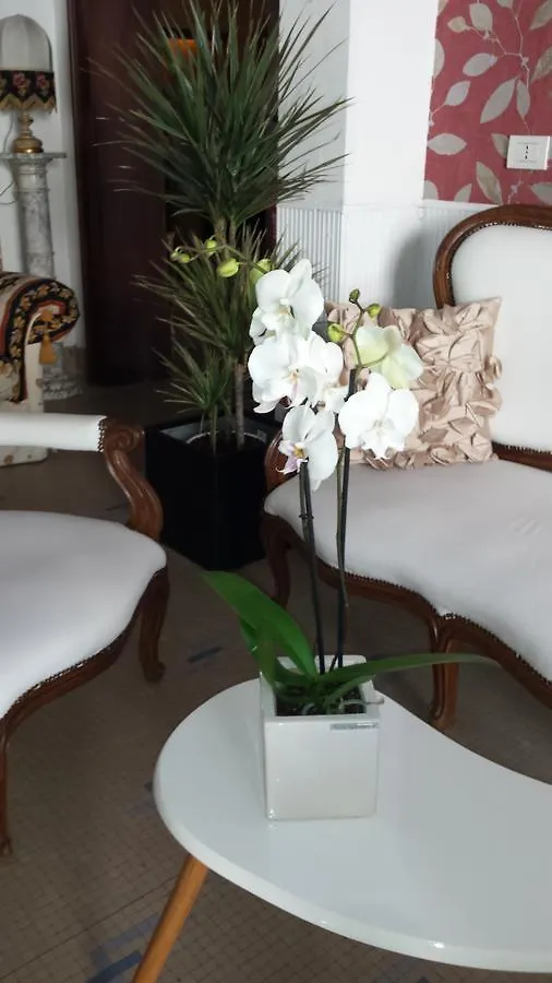 Hotel Bolognese Bellevue Riccione Italy